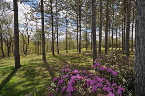 Property View - Country homes for sale and luxury real estate including horse farms and property in the Caledon and King City areas near Toronto